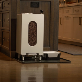 Dispensador de Ração para Pets